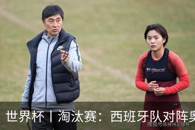 世界杯丨淘汰赛：西班牙队对阵奥地利队