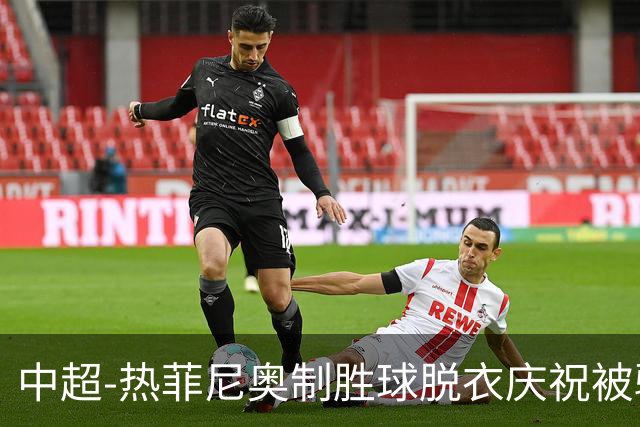 中超-热菲尼奥制胜球脱衣庆祝被驱逐 铁人3-2海港夺3连胜