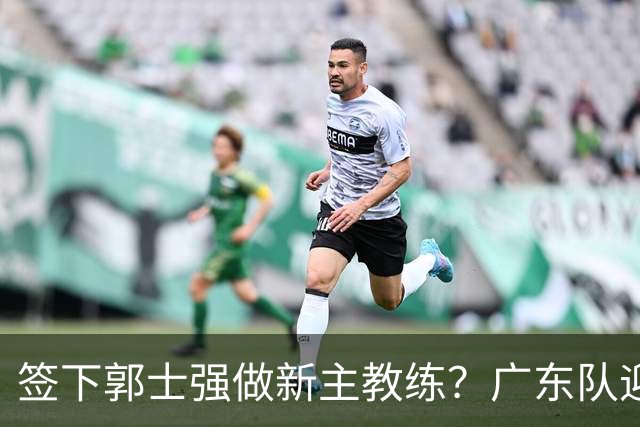 签下郭士强做新主教练？广东队迎来换帅机会，杜锋有望执教国家队